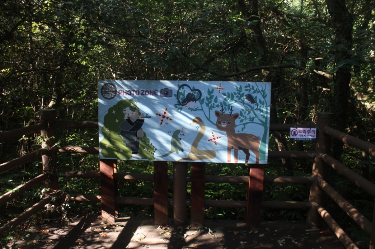 KakaoTalk_20240311_142941293_03